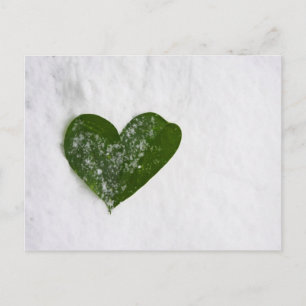 Cartão Postal O Inverno da Neve Romântico da Natureza