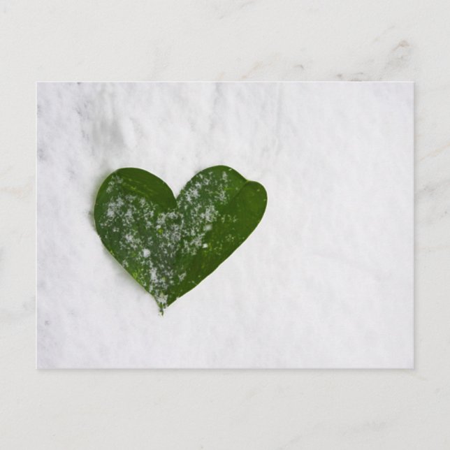 Cartão Postal O Inverno da Neve Romântico da Natureza (Frente)