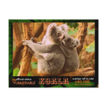 O KOALA (Urso) está ameaçado, leia o seguinte: -