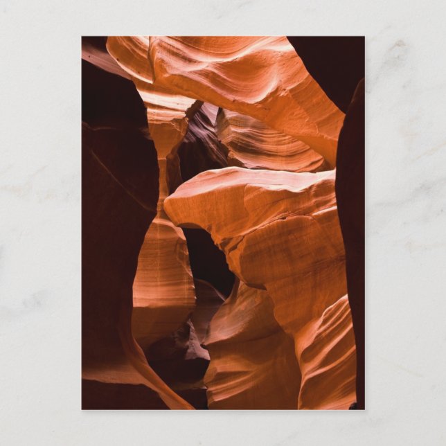 Cartão Postal O Labirinto -cópia de postal (Frente)