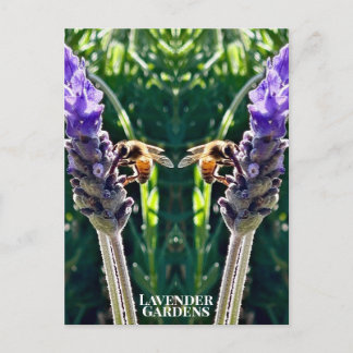 Cartão Postal O Lavanda e a Abelha