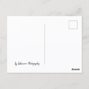 Cartão Postal O Longo Caminho - Carro na Estrada