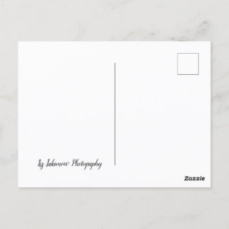 Cartão Postal O Longo Caminho - Carro na Estrada