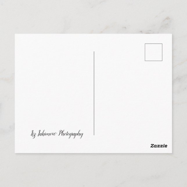 Cartão Postal O Longo Caminho - Carro na Estrada (Verso)