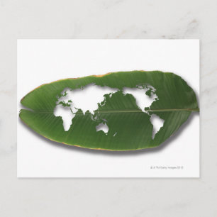 Cartão Postal O mapa mundial da folha comida por vermes
