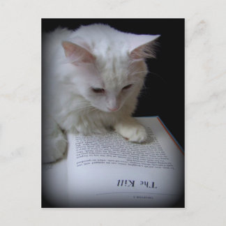 CARTÃO POSTAL O MATAR