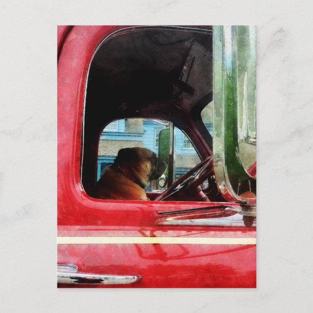 Cartão Postal O Melhor Amigo de Bombeiro (Frente)