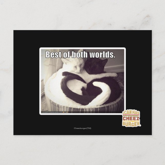 Cartão Postal O melhor dos dois mundos. (Frente)
