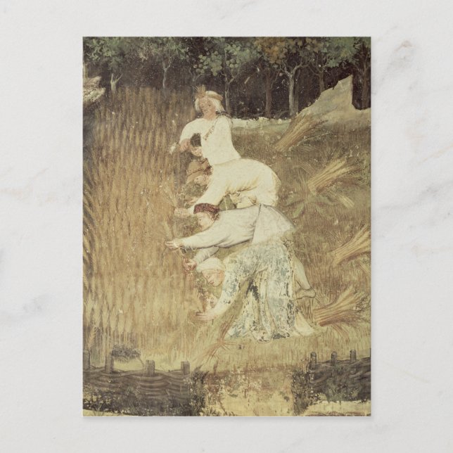 Cartão Postal O Mês de Agosto (Frente)