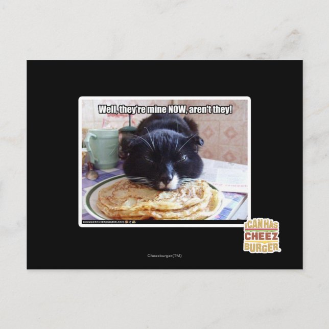 Cartão Postal O meu agora (Frente)