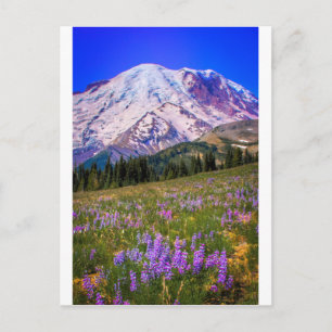 Cartão Postal O Monte Rainier