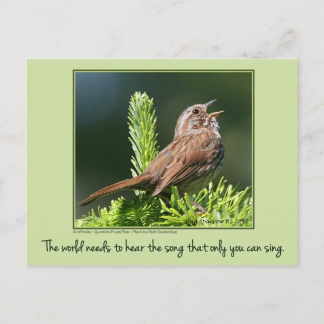 Cartão Postal O mundo precisa...Cartão postal inspirador (Frente)