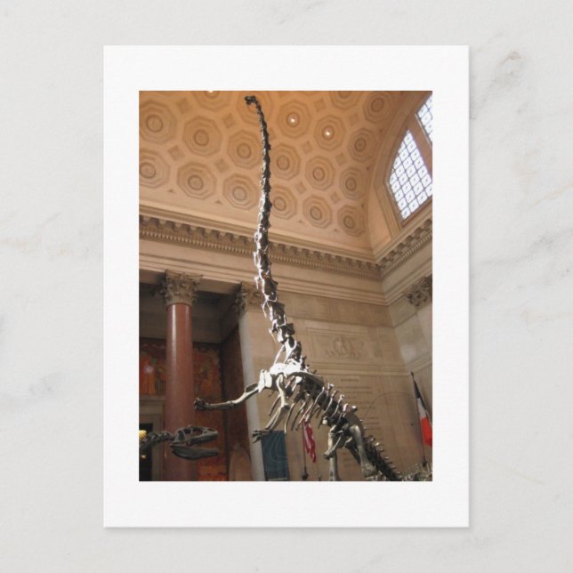 Cartão Postal O Museu Americano de História Natural, NYC (Frente)