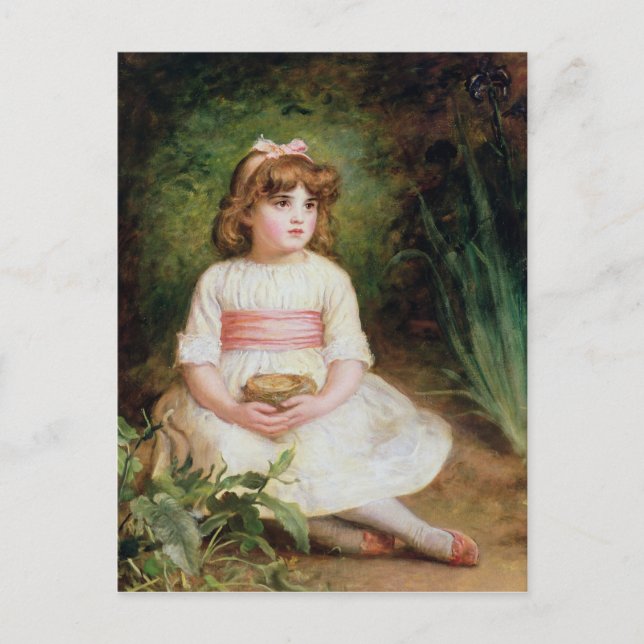 Cartão Postal O Ninho (Frente)