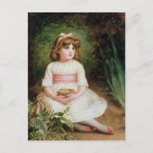 Cartão Postal O Ninho