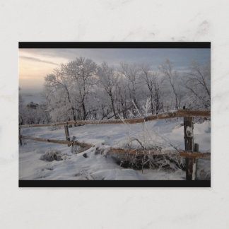 Cartão Postal O Norte Congelado