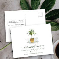 O nosso novo anúncio de mudança de planta de palme