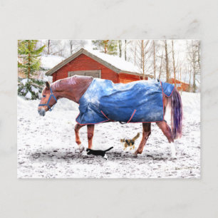 Cartão Postal "O novo cobertor da Jessie" 