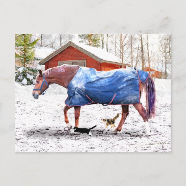 Cartão Postal "O novo cobertor da Jessie" (Frente)