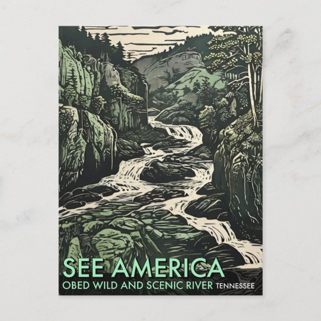 Cartão Postal O Obed Wild e o Scenic River no Tennessee (Frente)