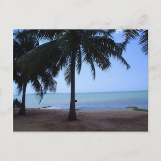 Cartão Postal O Oceano de Manhã