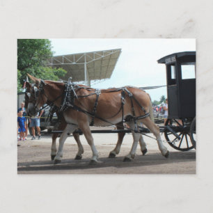 Cartão Postal O Ônibus Escolar Mule Driven