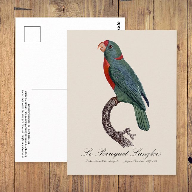Cartão Postal O Papagaio Langlois de Jacques Barraband (Le Perroquet Langlois by Jacques Barraband. Postcard)