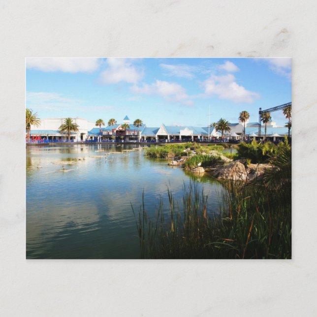 Cartão Postal O passeio à beira mar em Port Elizabeth (Frente)