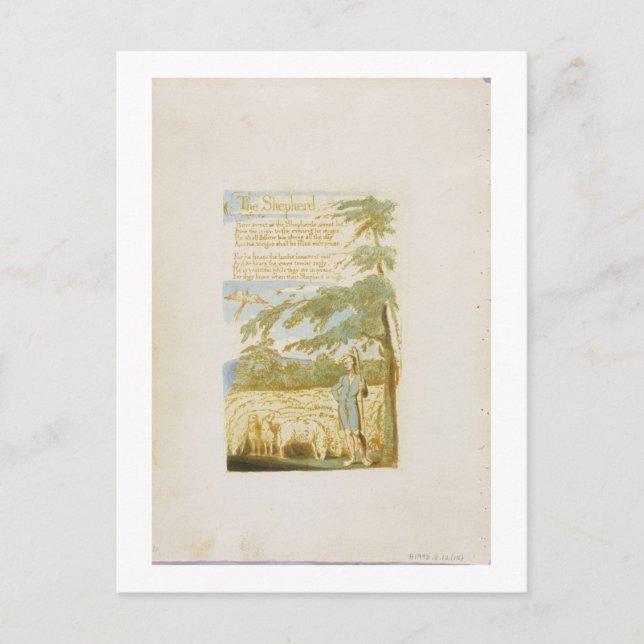 Cartão Postal 'O Pastor', placa 15 de 'Canções de Inocência' (Frente)