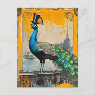 Cartão Postal O Pavão Regal num Chapéu Superior
