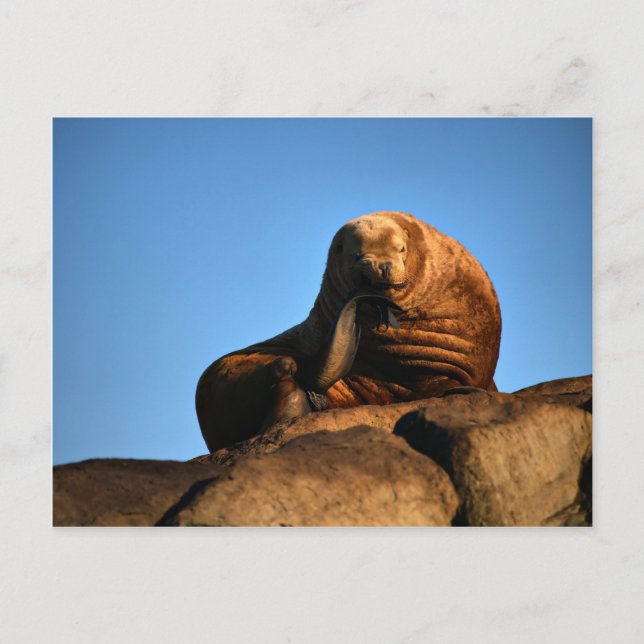 Cartão Postal O Pensador (Frente)