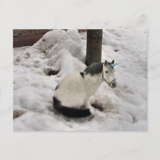 Cartão Postal O pequeno Unicat