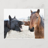 Cartão Fechamento de Cavalo com Boca Aberta