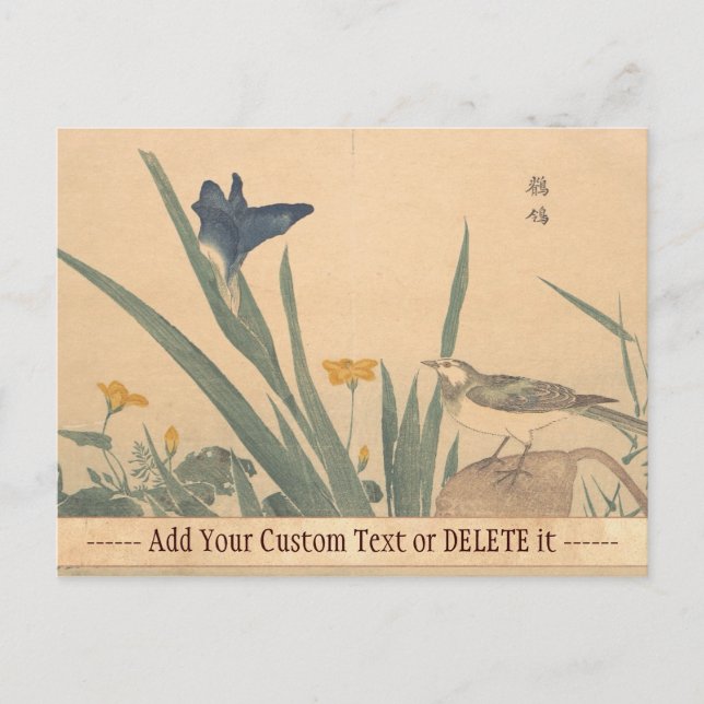 Cartão Postal O Pied Wagtai e a flor Kuwagata Keisai ukiyo-e (Frente)