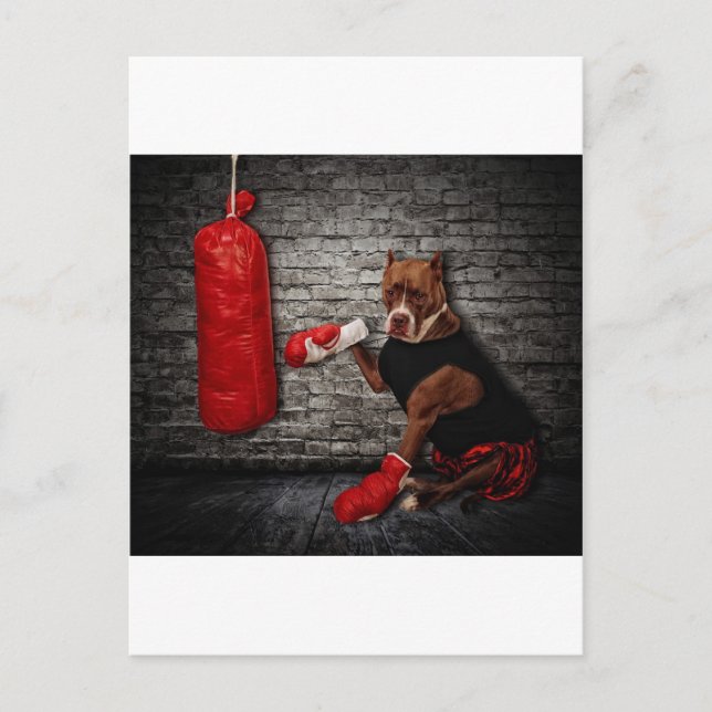 Cartão Postal O poço de boxe (Frente)