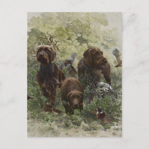 Cartão Postal O Ponteiro