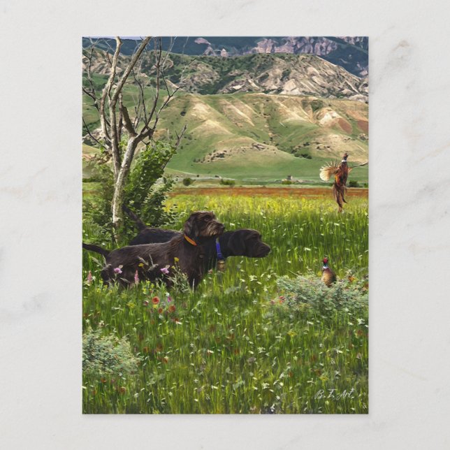 Cartão Postal O Ponteiro (Frente)