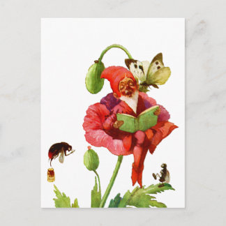 Cartão Postal O Poppy Gnomo