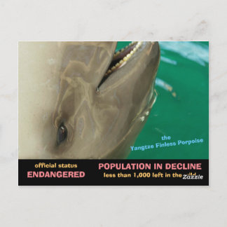 Cartão Postal O Porposto Sem Fim Yangtze está ameaçado, veja
