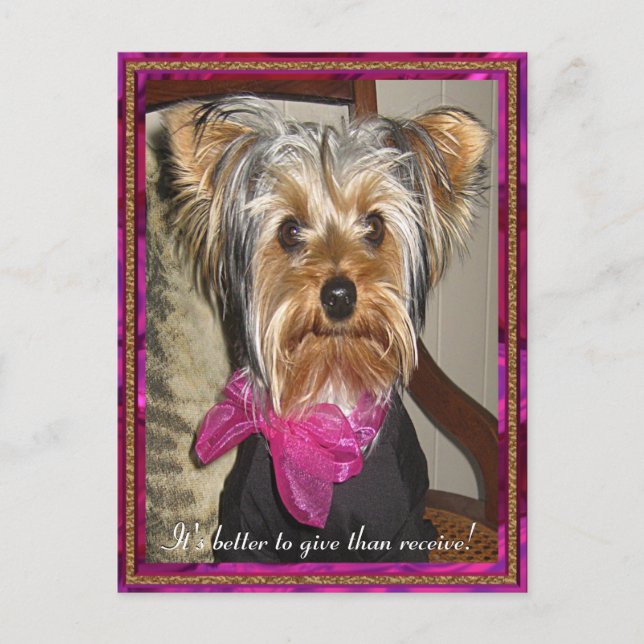 Cartão Postal O presente perfeito (Frente)