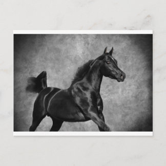 Cartão Postal O Preto