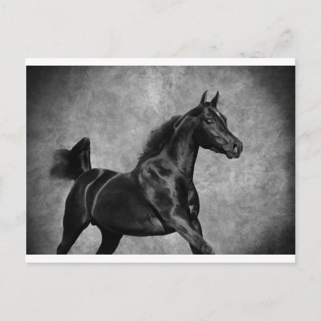 Cartão Postal O Preto (Frente)