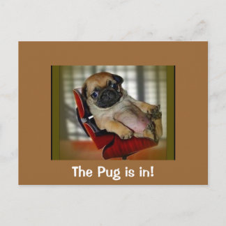 Cartão Postal O Pug está dentro!
