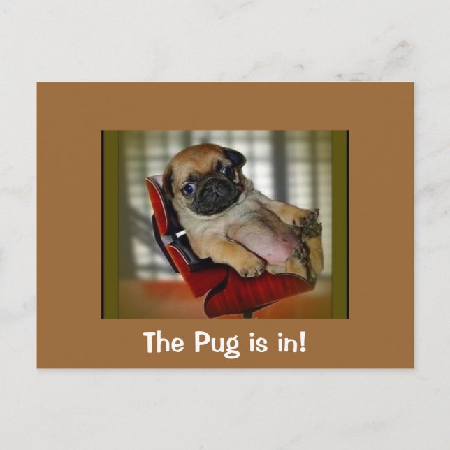 Cartão Postal O Pug está dentro! (Frente)