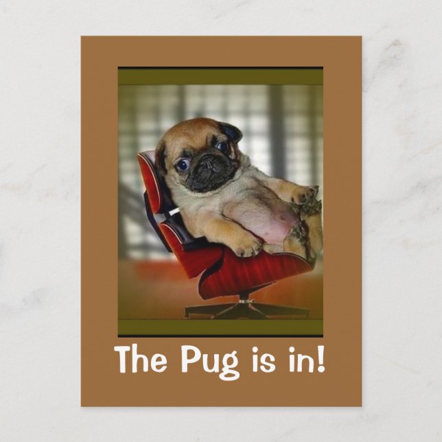 Cartão Postal O Pug está dentro! (Frente)