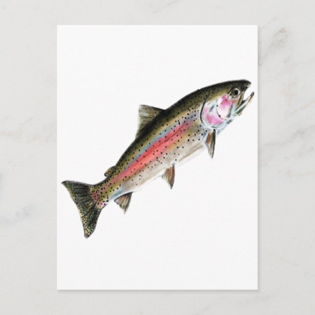 CARTÃO POSTAL O PURO (Frente)