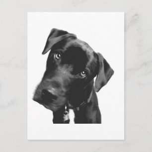 Cartão Postal O quê?