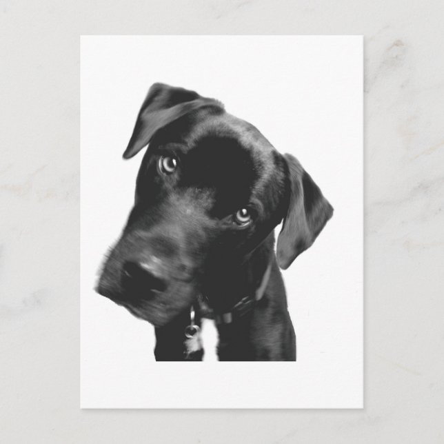 Cartão Postal O quê? (Frente)