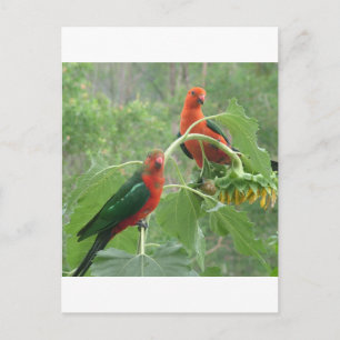 Cartão Postal O quê?