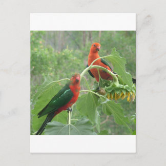 Cartão Postal O quê?